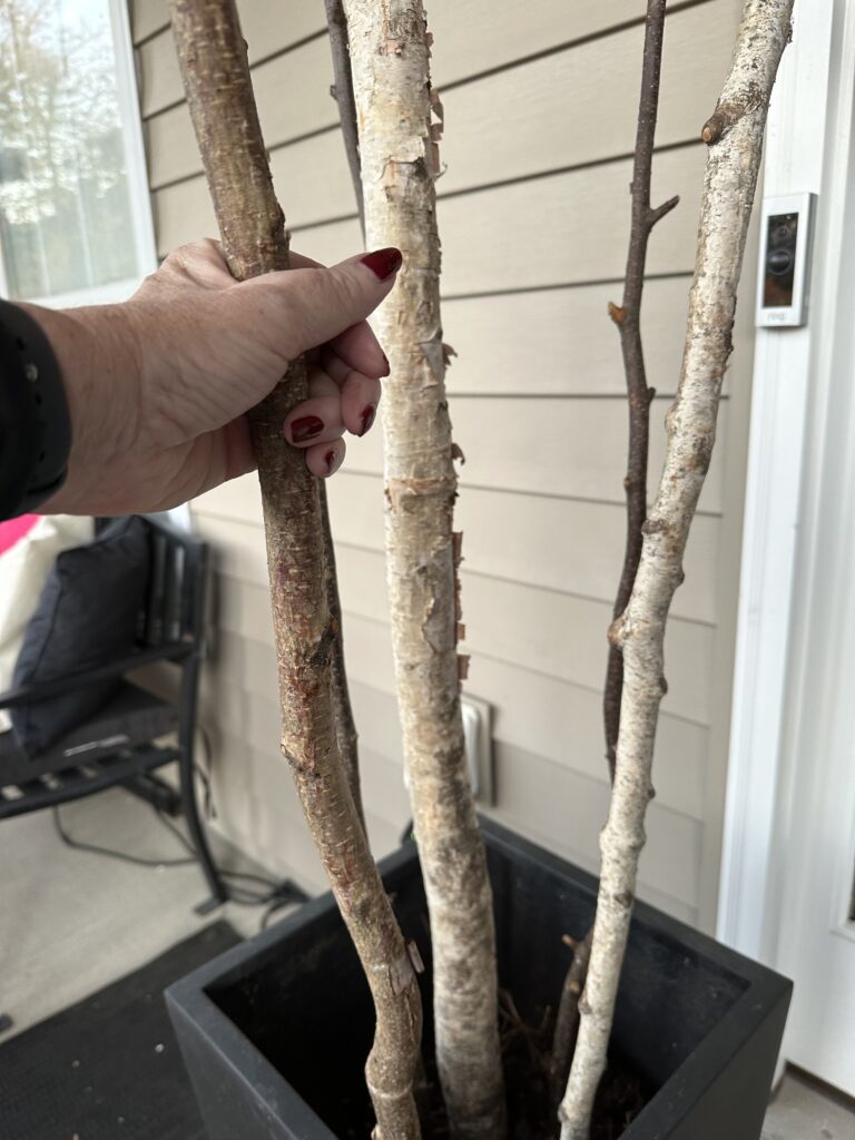 Christmas outdoor planter ideas, DIY Christmas outdoor planter, Christmas planter with birch branches, Outdoor holiday planter tutorial, Winter porch planter ideas, how to make a Christmas planter, birch branch Christmas arrangement, holiday planter with ornaments, outdoor Christmas decor ideas, DIY holiday planter with lights, winter outdoor arrangement, battery operated fairy lights outdoor, festive front porch décor, holiday urn planter ideas, Christmas container gardening