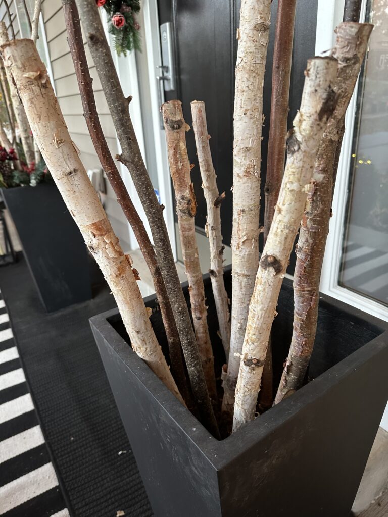 Christmas outdoor planter ideas, DIY Christmas outdoor planter, Christmas planter with birch branches, Outdoor holiday planter tutorial, Winter porch planter ideas, how to make a Christmas planter, birch branch Christmas arrangement, holiday planter with ornaments, outdoor Christmas decor ideas, DIY holiday planter with lights, winter outdoor arrangement, battery operated fairy lights outdoor, festive front porch décor, holiday urn planter ideas, Christmas container gardening